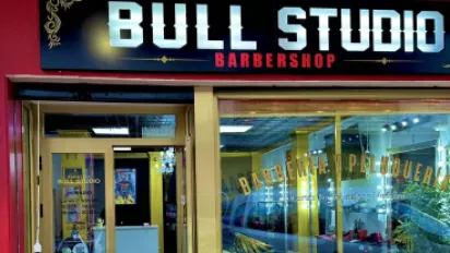 𝐁𝐚𝐫𝐛𝐞𝐫𝐢𝐚 𝐁𝐮𝐥𝐥 𝐒𝐭𝐮𝐝𝐢𝐨