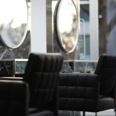 Cuts&Roses VI (Cortes Valencianas)