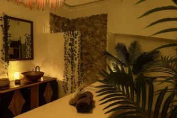 Lessentia Organic Wellness Diagonal