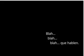 Susana Torralbo Hair Salon